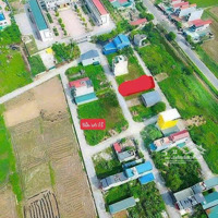 Chính Chủ Bán Đất Đấu Giá Mả Tre 4, Sinh Quả, Bình Minh