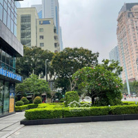 Chính Chủ Cho Thuê Văn Phòng Tầng 2, Tòa Nhà The Sun Mễ Trì