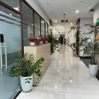 Chính Chủ Cho Thuê Văn Phòng Tầng 2, Tòa Nhà The Sun Mễ Trì