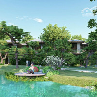 Nhận Booking Biệt Thự Rừng Retreat, Không Gian Sống Đẳng Cấp, Thiên Nhiên 4 Triệu Cây Xanh