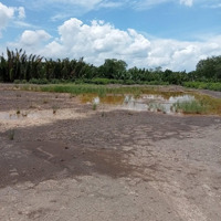 Bán Gấp 3300M2 Đất Tại Xã Bình Khánh, 9,9 Tỷ, Cần Giờ, Tphcm