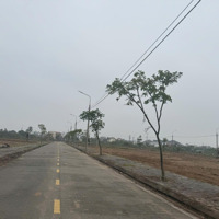 1,5 Tỷ Chính Chủ Cắt Lỗ Mảnh Kcn Thái Bình Tiền Hải,Diện Tích90M2 Sẵn Sổ Đỏ,Mặt Tiền6M Đường 13M Hướng Đn