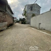 Bán Đất Lô Góc Xuân Giang Sóc Sơn, Diện Tích Chuẩn Giá Siêu Hợp Lý