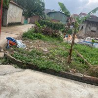 Bán Đất Lô Góc Xuân Giang Sóc Sơn, Diện Tích Chuẩn Giá Siêu Hợp Lý