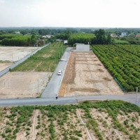 Chính Thức Mở Bán Đất Nền Shr, Liền Kề Sân Bay Quốc Tế Long Thành, Gần Ngay Kcn Giang Điền