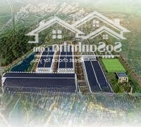 Bán Đất Nền Vigory City, 4 Tỷ, 100M2, Đông, View Đẹp, Giá Tốt, Thuận Thành, Bắc Ninh