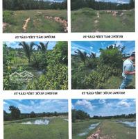 Đất Bán 14,3 Tỷ, 16000M2 Tại Thanh An, Dầu Tiếng, Bình Dương