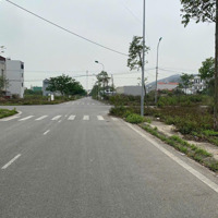 Bán Đất Nền Dự Án Tại Khu Đô Thị Đông Bắc Bích Động, 3,333 Tỷ, 80M2
