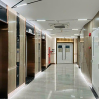 Cho Thuê 2 Phòng Ngủ+ 2 Vệ Sinh Ntcb, Khu Diamond Alnata Plus, Bao Gồm Ô Đậu Xe, Giá Bán 16 Triệu, Celadon