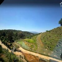 Bán Homestay Bảo Lộc, suối thác đẹp kinh doanh ngay