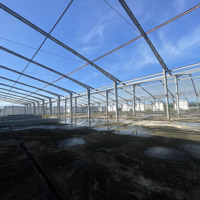 Cho Thuê Xưởng Phước An Tuy Phước Bình Định 3800M2