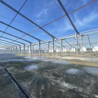 Cho Thuê Xưởng Phước An Tuy Phước Bình Định 3800M2