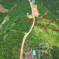 Đất 5000M2 Đã Tách Thành 2 Sổ. Dân Cư Điện Nước Xe Hơi Vào Tận Nơi