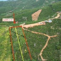 Đất 5000M2 Đã Tách Thành 2 Sổ. Dân Cư Điện Nước Xe Hơi Vào Tận Nơi