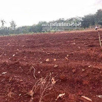 Bán Đất Tại Tđ 535, Tbđ 15, Địa Chỉ: Ấp Sông Xoài 2, Xã Sông Xoài, Thị Xã Phú Mỹ, Bà Rịa - Vũng Tàu