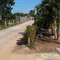 Cây Xăng Dầu Thôn Nam Đường Liên Xã, 820 Triệu, 1871 M2 Có 60M2 Thổ Cư, Ninh Hòa, Khánh Hòa