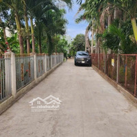 Bán Nhà Riêng Tại Lê Văn Lương, Nhà Bè, 60M2 View Đẹp, Giá Tốt