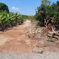 Bán 12 Hec Xuân Phú Xuân Lộc Đồng Nai. Giá Bán 128 Tỷ. Cách Ql1A Chỉ 3Km
