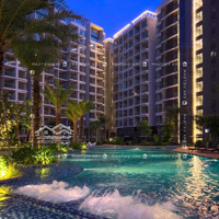 Căn 3 Phòng Ngủview Hồ Bơi Độc Quyền, Giá Rẻ Nhất Thị Trường Chỉ 8,9 Tỷ - Khu Diamond Centery - Celadon