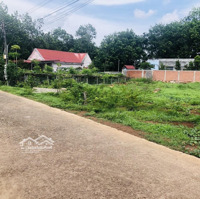 Bán Thu Hồi Vốn 5X40=200M2 Sổ Riêng Thổ Cư, Dân Đông Giá 290 Triệu