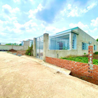 Bán Thu Hồi Vốn 5X40=200M2 Sổ Riêng Thổ Cư, Dân Đông Giá 290 Triệu