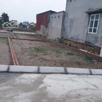 Bán Đất Tại Xã Thái Sơn, An Lão, Hải Phòng Giá Tốt, 675 Triệu, 60M2