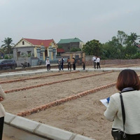 Bán Đất Tại Xã Thái Sơn, An Lão, Hải Phòng Giá Tốt, 675 Triệu, 60M2