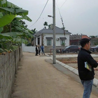 Bán Đất Tại Xã Thái Sơn, An Lão, Hải Phòng Giá Tốt, 675 Triệu, 60M2