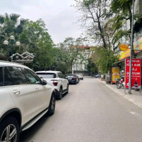 Nhà Phố Trần Quang Diệu, Hoàng Cầu, 45M2, 7T, Tm,Mặt Tiền5M, Ô Tô, Nhỉnh 15 Tỷ.