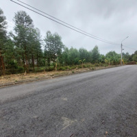 Lô Góc 200M2, 550 Triệu, Tp.bắc Giang