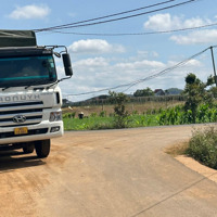 Bán Đất Mặt Tiền Đường Nhựa Gần Ubnd Xã Phú Hội Đức Trọng Lâm Đồng