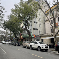 (Giảm 6 Tỷ) Bán Nhà Mặt Phố Trần Xuân Soạn - Phường Phạm Đình Hổ - Hai Bà Trưng, 130M2, 75 Tỷ