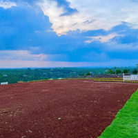 Mua Ngay Kẻo Hết Đất Chính Chủ View Đồi Chè Chỉ 39 Nền Duy Nhất Giá Cực Mềm