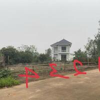 Bán vài lô đất thổ cư  Xuân mới, Thanh vân, Tam dương. Cạnh Vĩnh yên