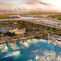 Bán Bt Đẹp Tại Vinhomes Royal Island, 9,8 Tỷ, 90,2M2, View Đẹp Hot!