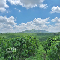 Bán Đất 2.000M2 Qh Full Thổ Cư Mặt Đường Nhựa 15 Mét - Giá: 1 Tỷ 550 Cả Lô