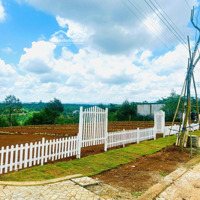 Đất Nền Di Linh Giá Rẻ Bất Ngờ Vị Trí Đẹp, Pháp Lý Rõ Ràng, Chỉ Từ 286 Triệu