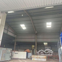 Cho Thuê Kho Xưởng 2.500M2 Ngang 50M Phường 12, Chân Cầu Cửa Lấp, Vũng Tàu