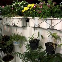 Bán Căn Hộ Bình Chánh An Phú Tây, Chung Cư Hqc Plaza, 1,05 Tỷ 55M2, 2 Phòng Ngủ Nhà Đẹp Ở Ngay