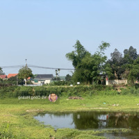Bán Đất 5800M2 Tại Đường 87A, Ba Trại, Ba Vì, Hà Nội, Giá Thỏa Thuận