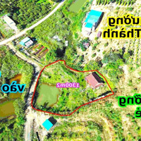 1300M2 Nghỉ Dưỡng View Thời Kỳ Pháp Thuộc Cho Cô Chú Nào Muốn Quay Về Quá Khứ