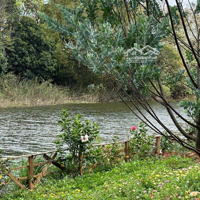 Home Nghỉ Dưỡng Siêu Đẹp, Đẳng Cấp Tại Buôn Ma Thuột, View Suối, Gần Sân Bay