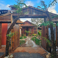 Home Nghỉ Dưỡng Siêu Đẹp, Đẳng Cấp Tại Buôn Ma Thuột, View Suối, Gần Sân Bay