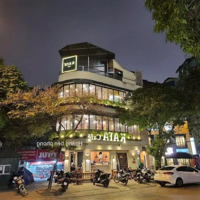 Cho Thuê Nhà Mặt Phố Trần Duy Hưng, Cầu Giấy Tòa 8 Tầng Thang Máy,Diện Tích120M, Mặt Tiền 8M