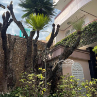 Nhà Hàng Tiệc Cưới Tttp Nha Trang - 1181M2 - 100 Tỷ