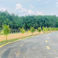 Bán Đất khu vực Thành Phố Mới Bình Dương giá chỉ từ 680 triệu có Ngân Hàng hỗ trợ cho vay