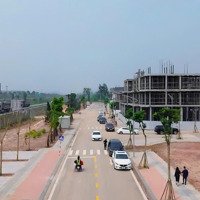 Suất Ngoại Giao Kđt Homie City. Giá Rẻ Nhất Thị Trường