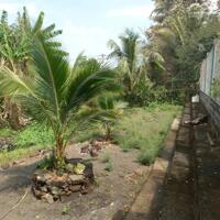 View xịn tọa lạc tại thôn 11_Hòa Phú_Buôn Ma Thuột _Đăk Lăk. Dt: 27,5×50 tc 400m²  $ 7 tỷ thương lượng