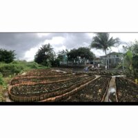 View xịn tọa lạc tại thôn 11_Hòa Phú_Buôn Ma Thuột _Đăk Lăk. Dt: 27,5×50 tc 400m²  $ 7 tỷ thương lượng