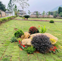 Gửi Bán Lô Đất Mặt Đường Bãi Dài, Ngay Cạnh Xanh Villas, Full Thổ Cư, Giá Bán 27 Triệu/M2, Sẵn Sổ Đỏ